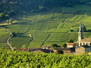 loire valley