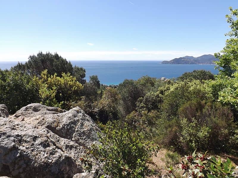 Parc de la Croix des Gardes Cannes