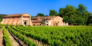 Vignobles de Saint-Tropez