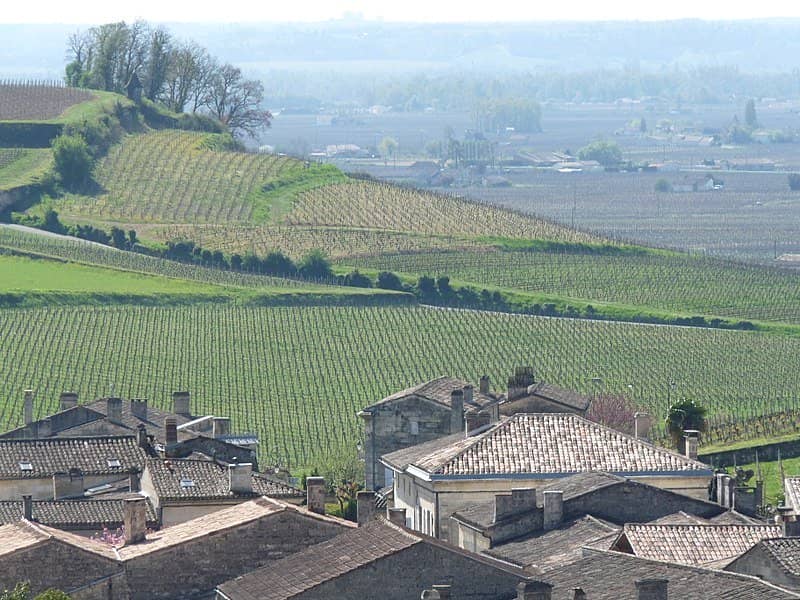 Vineyards in St_Emilion bordeaux