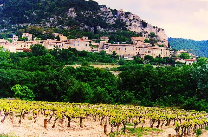 Côtes du Rhone vineyard