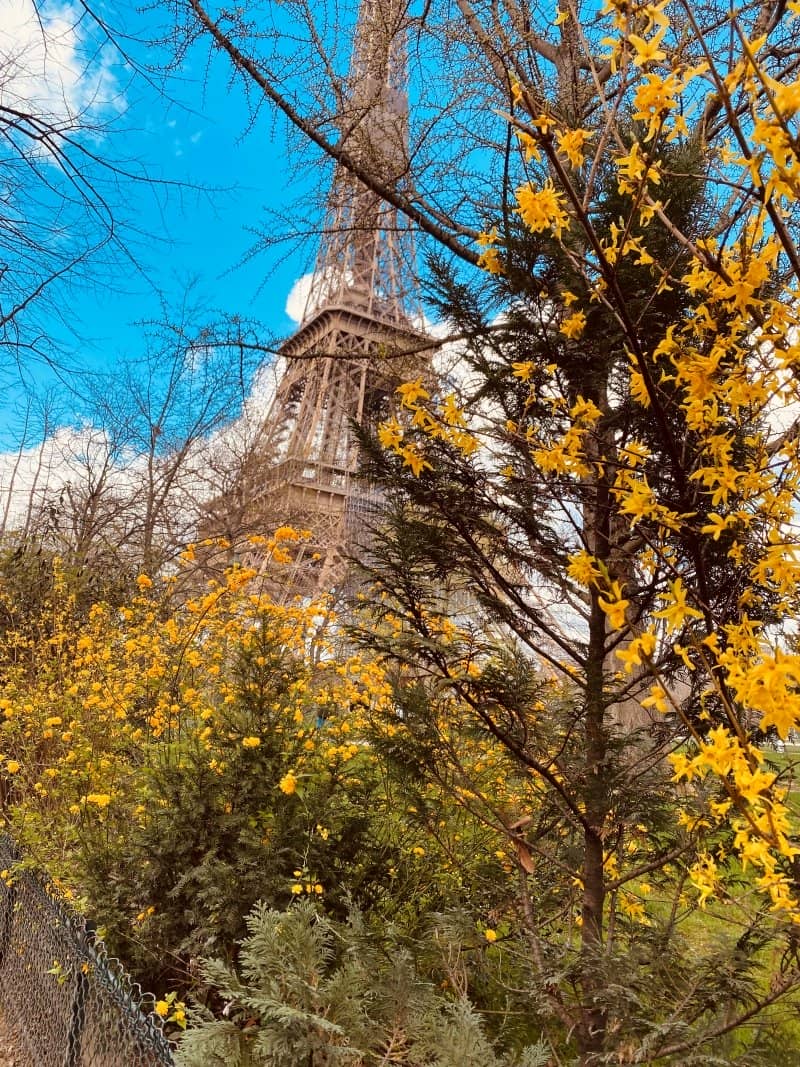 eiffel tower in spring season