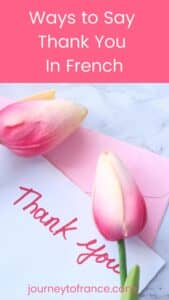 thank you in french