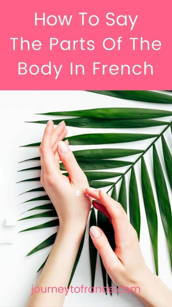 How To Say The Parts Of The Body In French