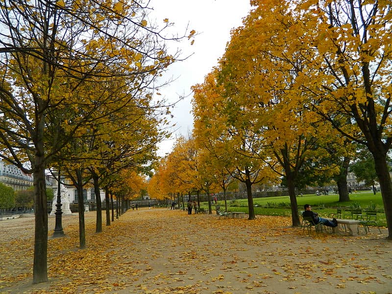 Jardin des Tuileries autumn