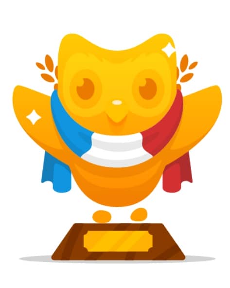 Duolingo French Best app to learn french