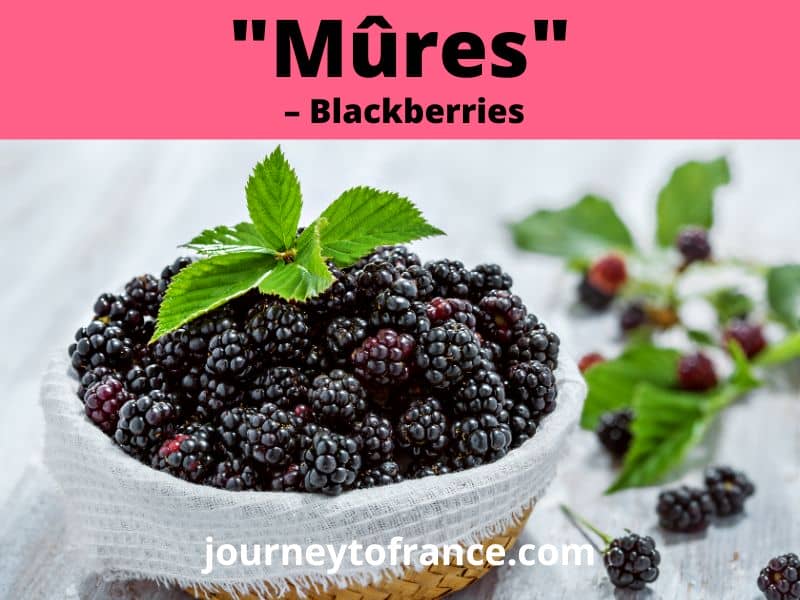 Blackberries