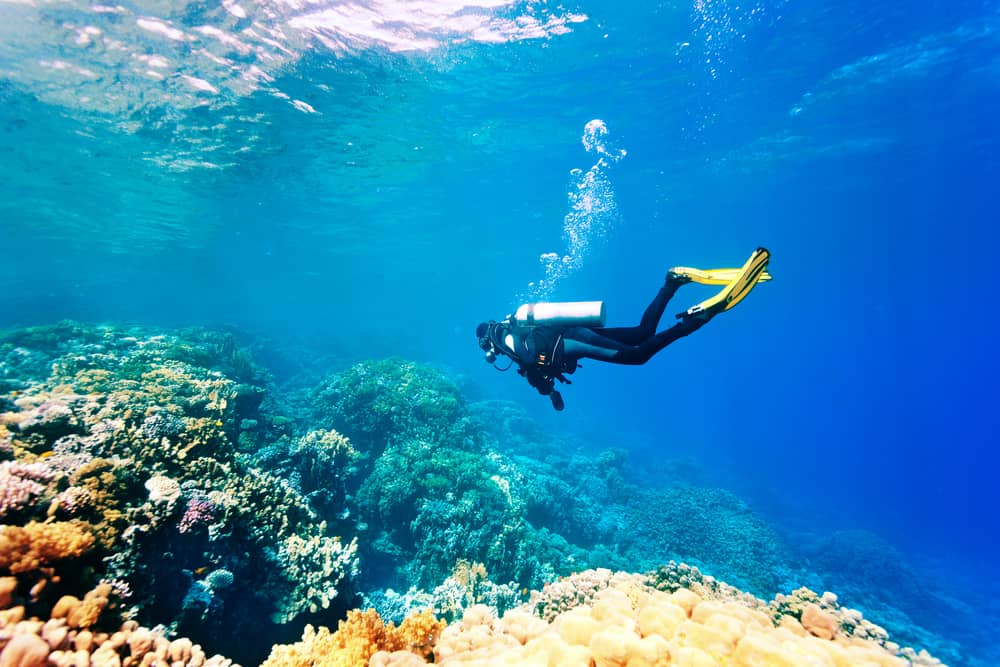 Scuba Diving in Bora Bora