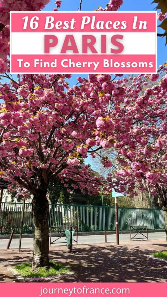 16 Best Places In Paris To Find Cherry Blossoms (1)