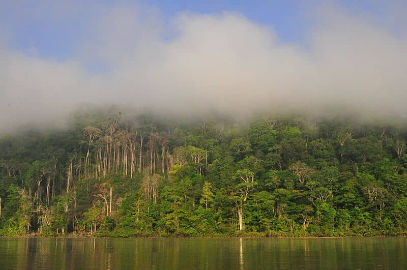 Parc amazonien de Guyane