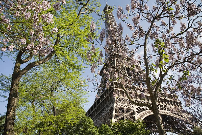 france in may eiffel tower