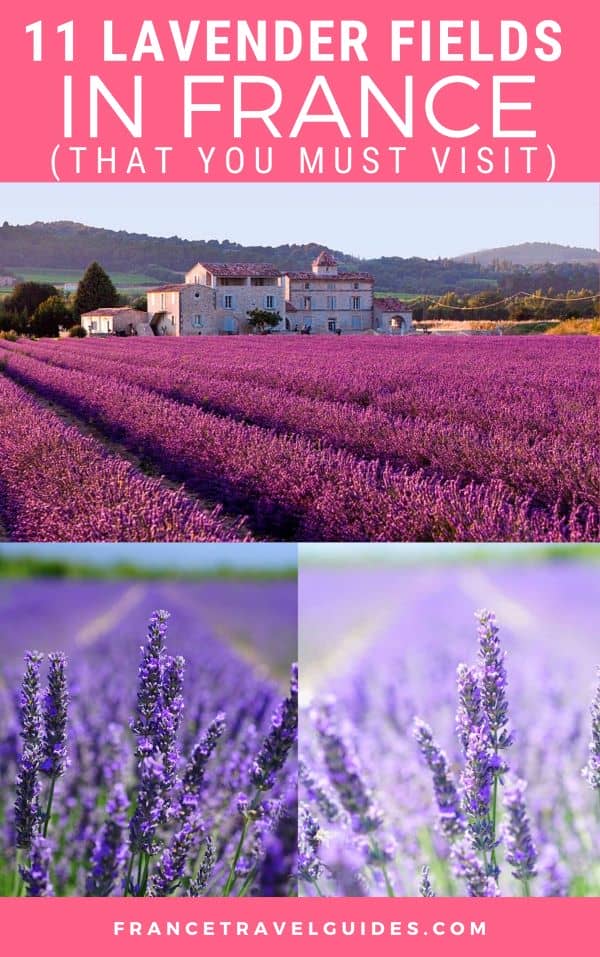 11 BEST LAVENDER FIELDS IN FRANCE THAT YOU MUST VISIT