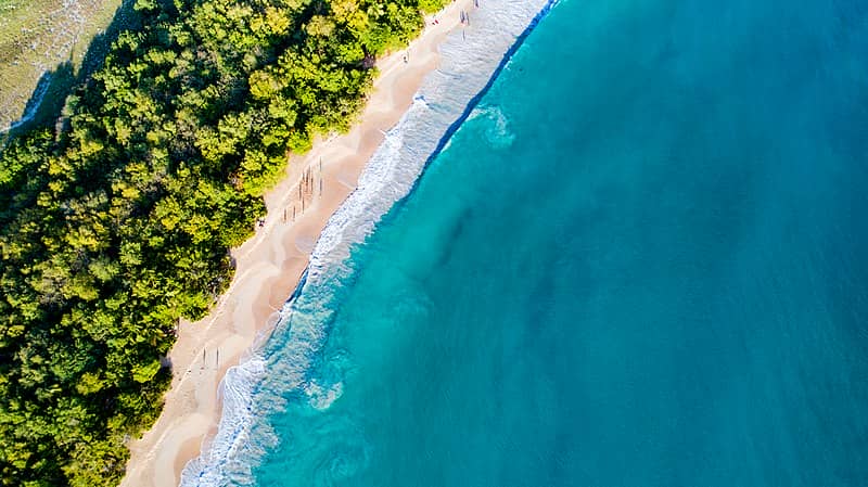 Salines beach martinique