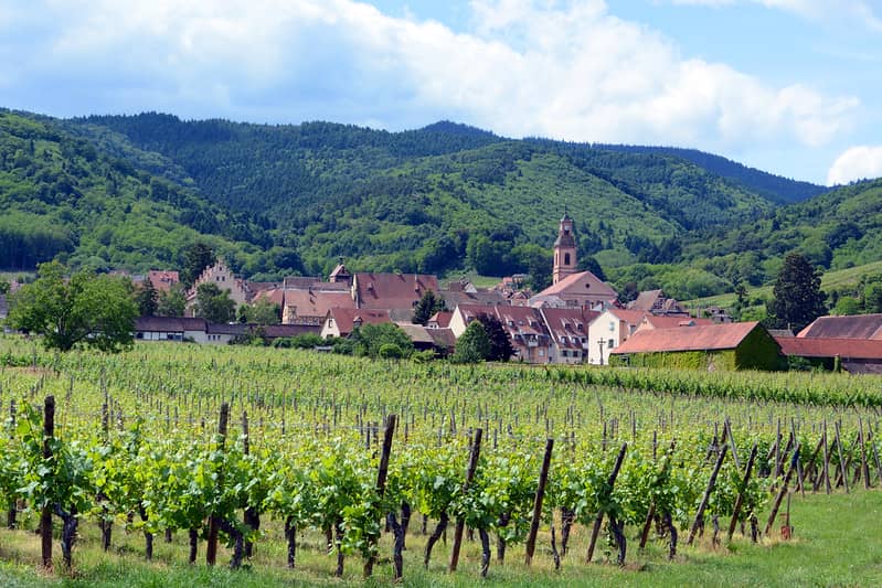 Alsace Wine Route Riquewihr