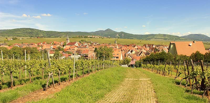 Sentier Viticole des Grands Crus