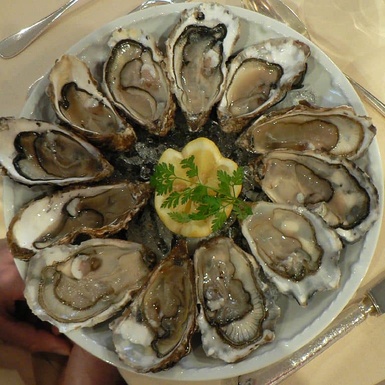 Oysters - Huitres