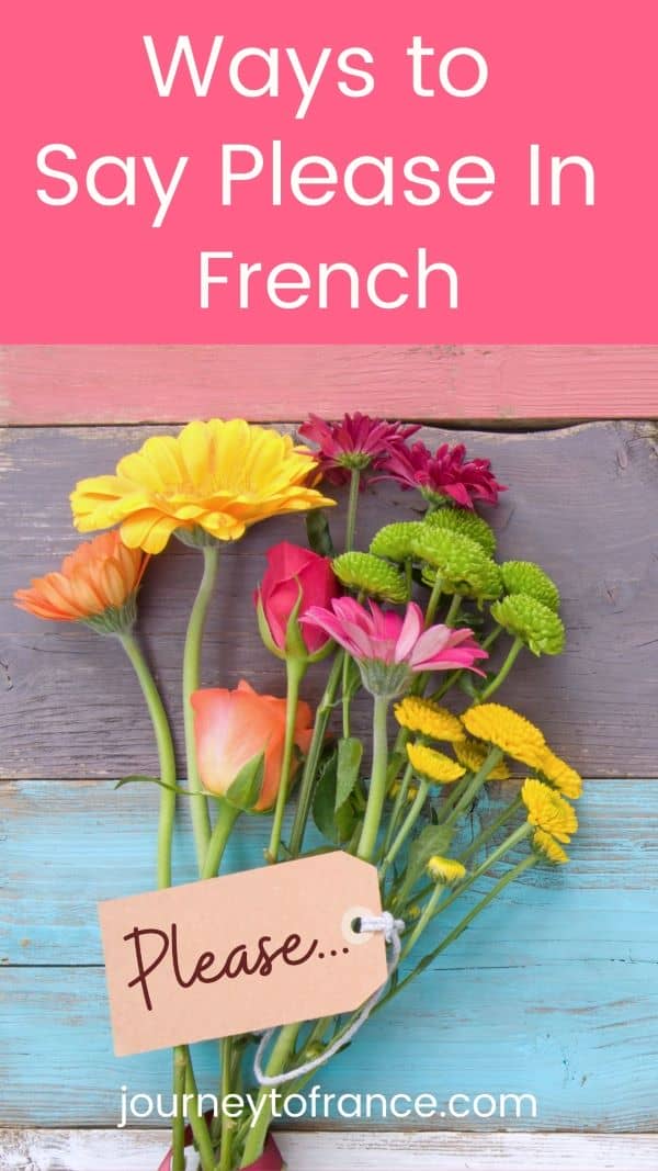 please-in-french-25-expressions-frenchlearner-2023