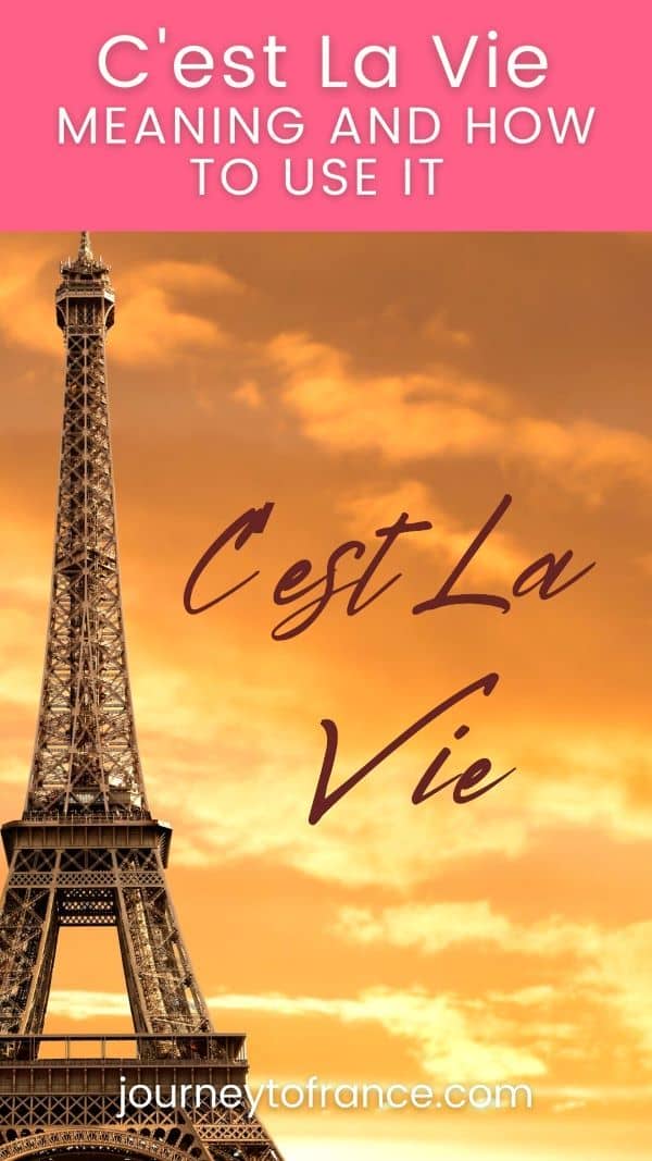 La Belle Vie Meaning In English