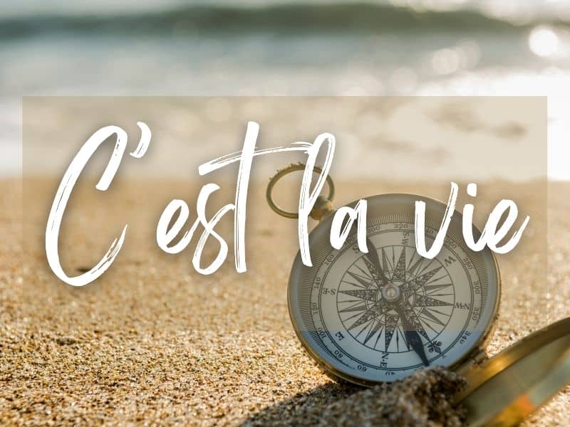 c-est-la-vie-meaning-and-how-to-use-it-journey-to-france