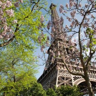 Spring in Paris