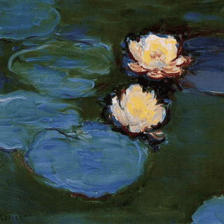 Water Lilies (1897 - 1926)