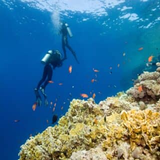 Scuba diving in Bora Bora (2)